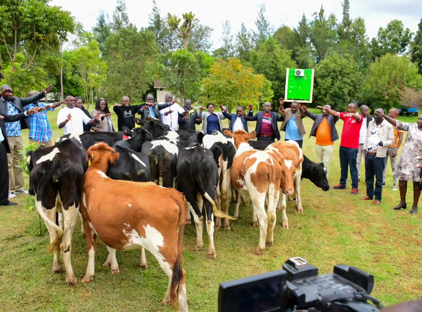 Sudi gifts dairy cows to area chiefs to boost livelihoods