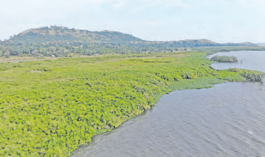 Implement Yala Delta land use plan – NGO
