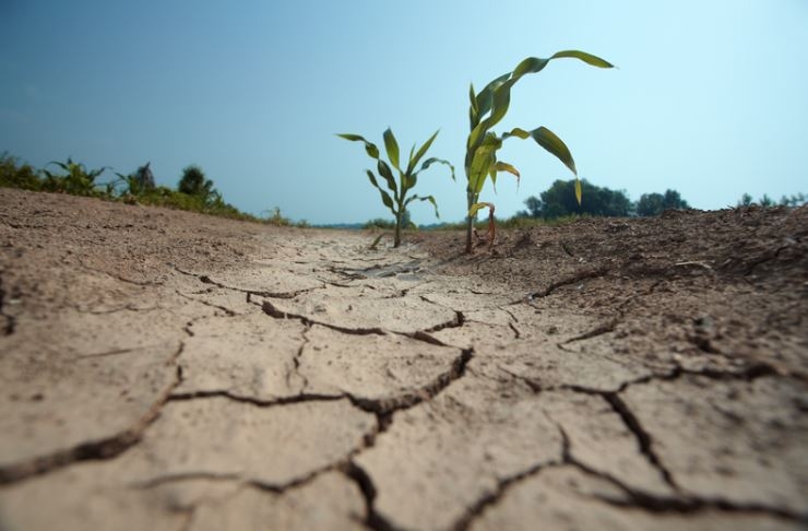 Horn of Africa to experience dry weather until Dec