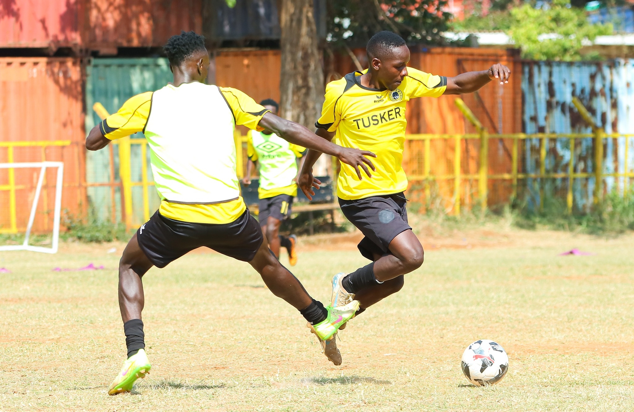 Sportpesa League : Cash, glory and rivalries set to ignite new season