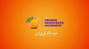 Violence, chaos halt ODM Kasipul primaries