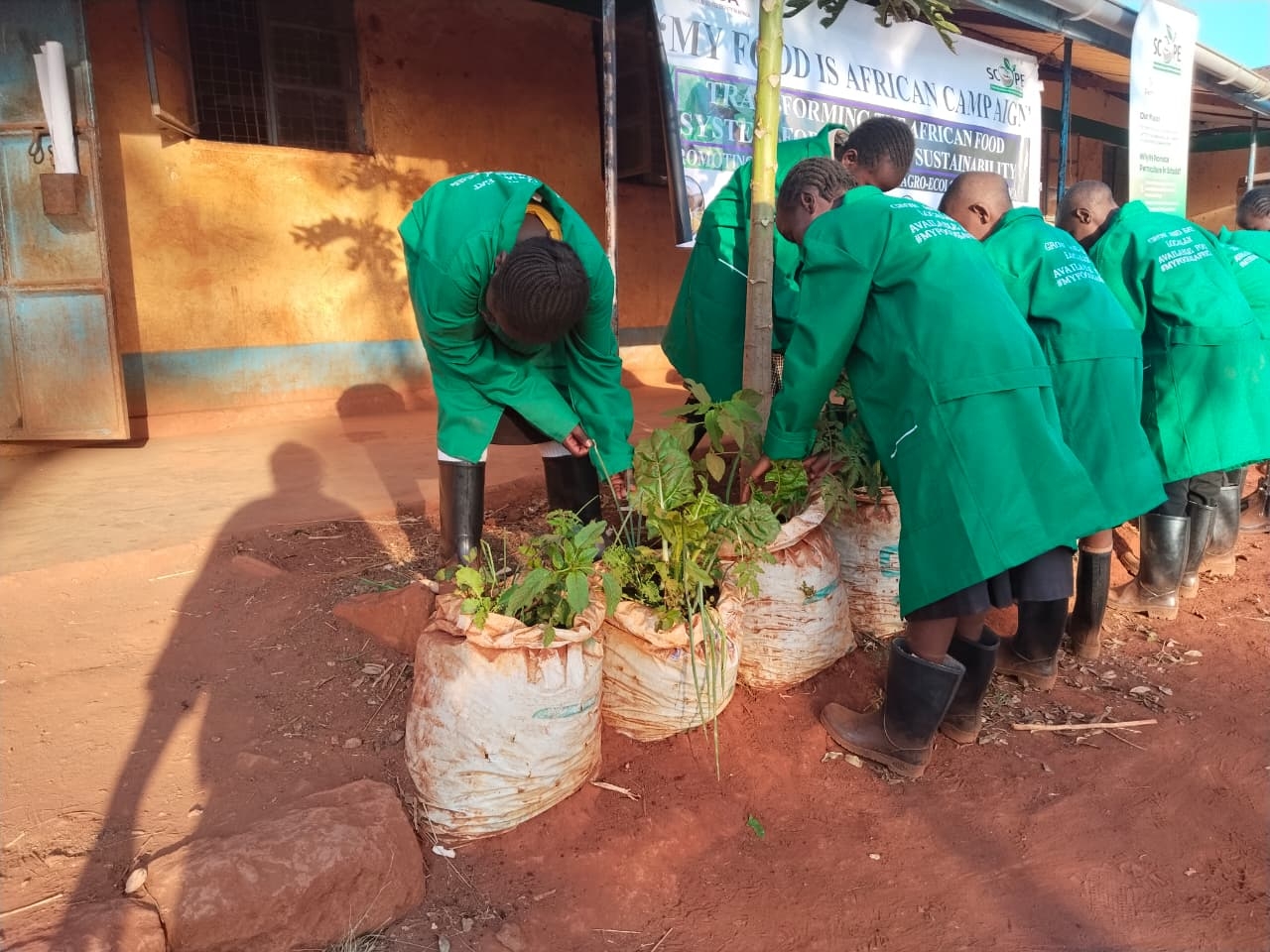 From dust to bloom: How Kivai school turned hunger into hope