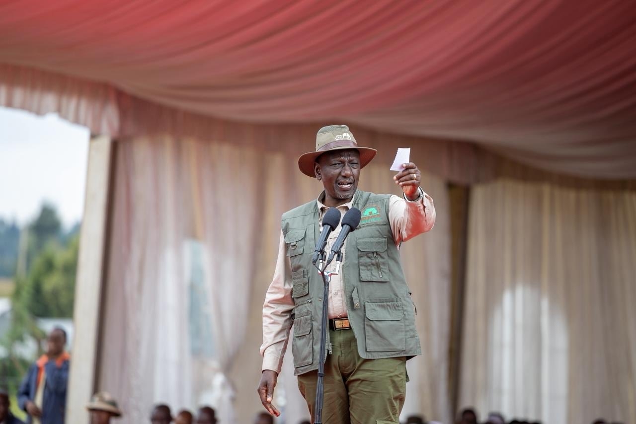 Ruto lifts logging ban, says only mature trees to be harvested