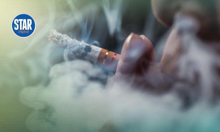 Global number of tobacco users (millions)