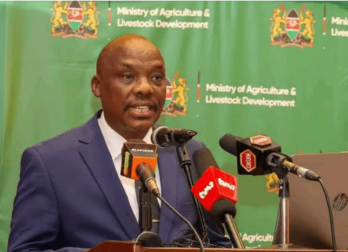 Tea farmers to get Sh2.7bn refund as part of bonus after State directive