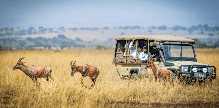 NDAYI: Omni-channel booking models for safaris: The future of Kenyan tourism