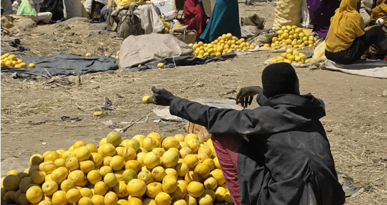 Sudan's fertile region where food is rotting