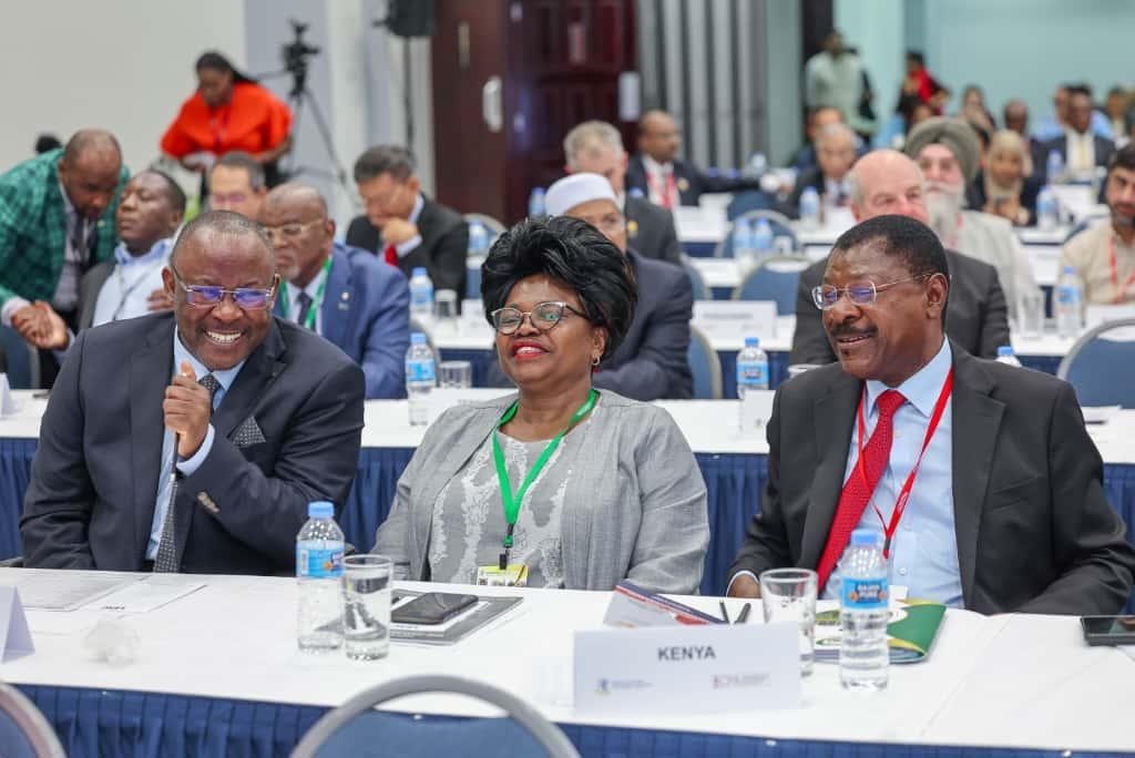 Wetang'ula roots for democracy and inclusion at Commonwealth meet