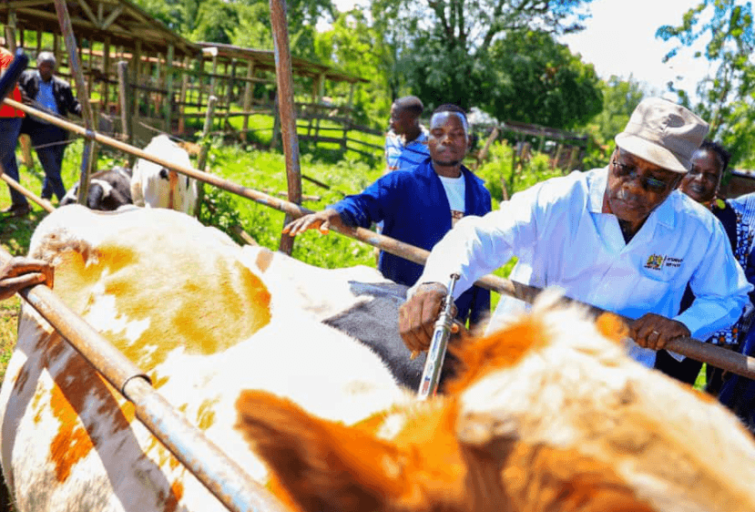 Foot and mouth outbreak threatens livelihoods
