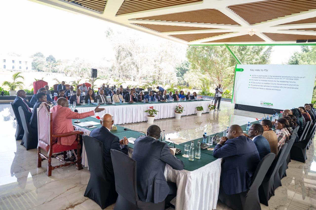 MPs query selection of Ruto’s Nyota beneficiaries