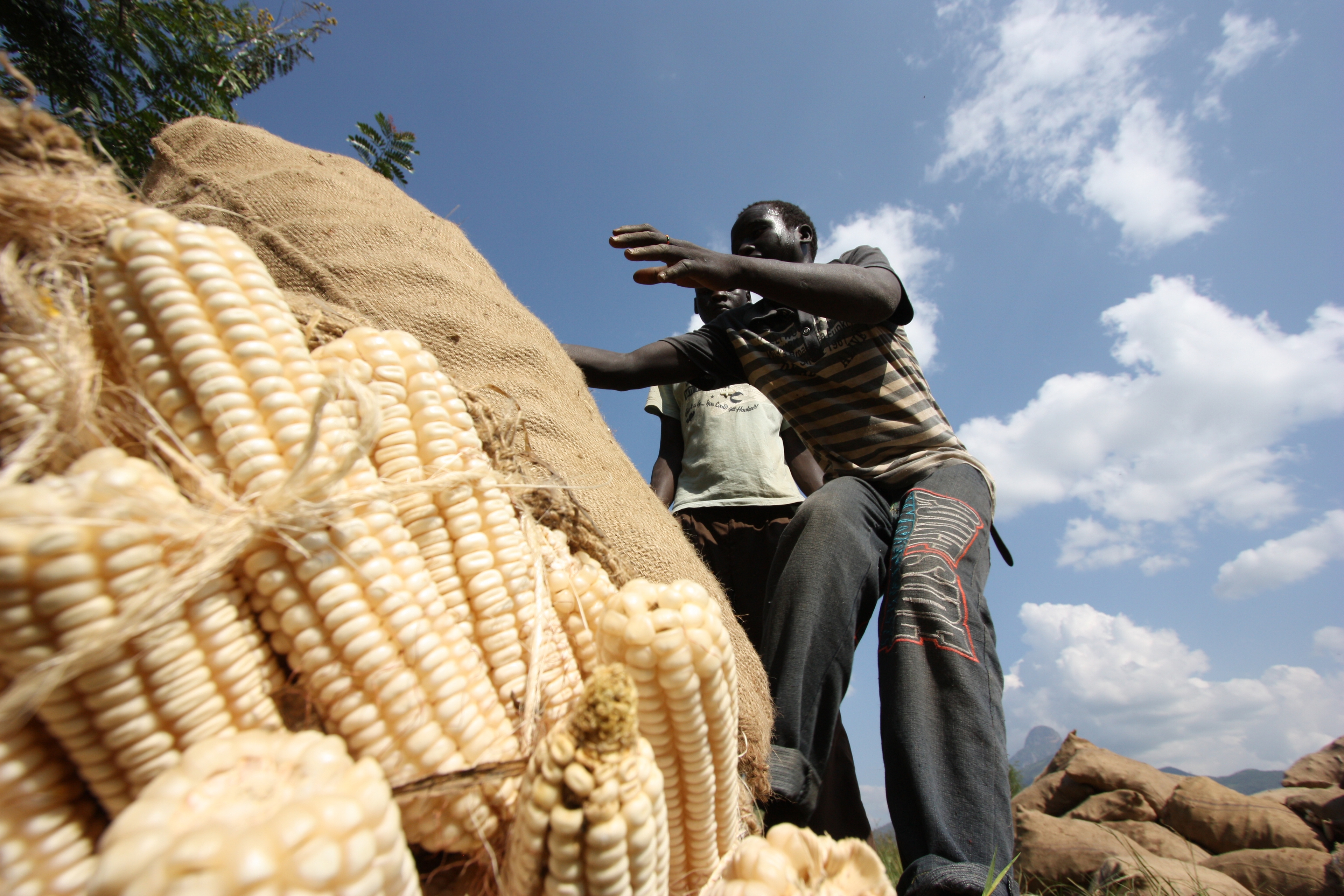 KASERA: Prosperity must move from paper to putting money in Kenyans’ pocket