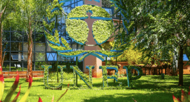 Unep avails funds to address hazardous chemicals