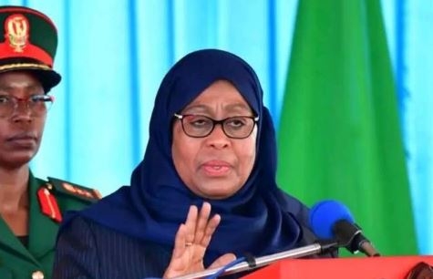 Suluhu: Foreigners involved in election day chaos