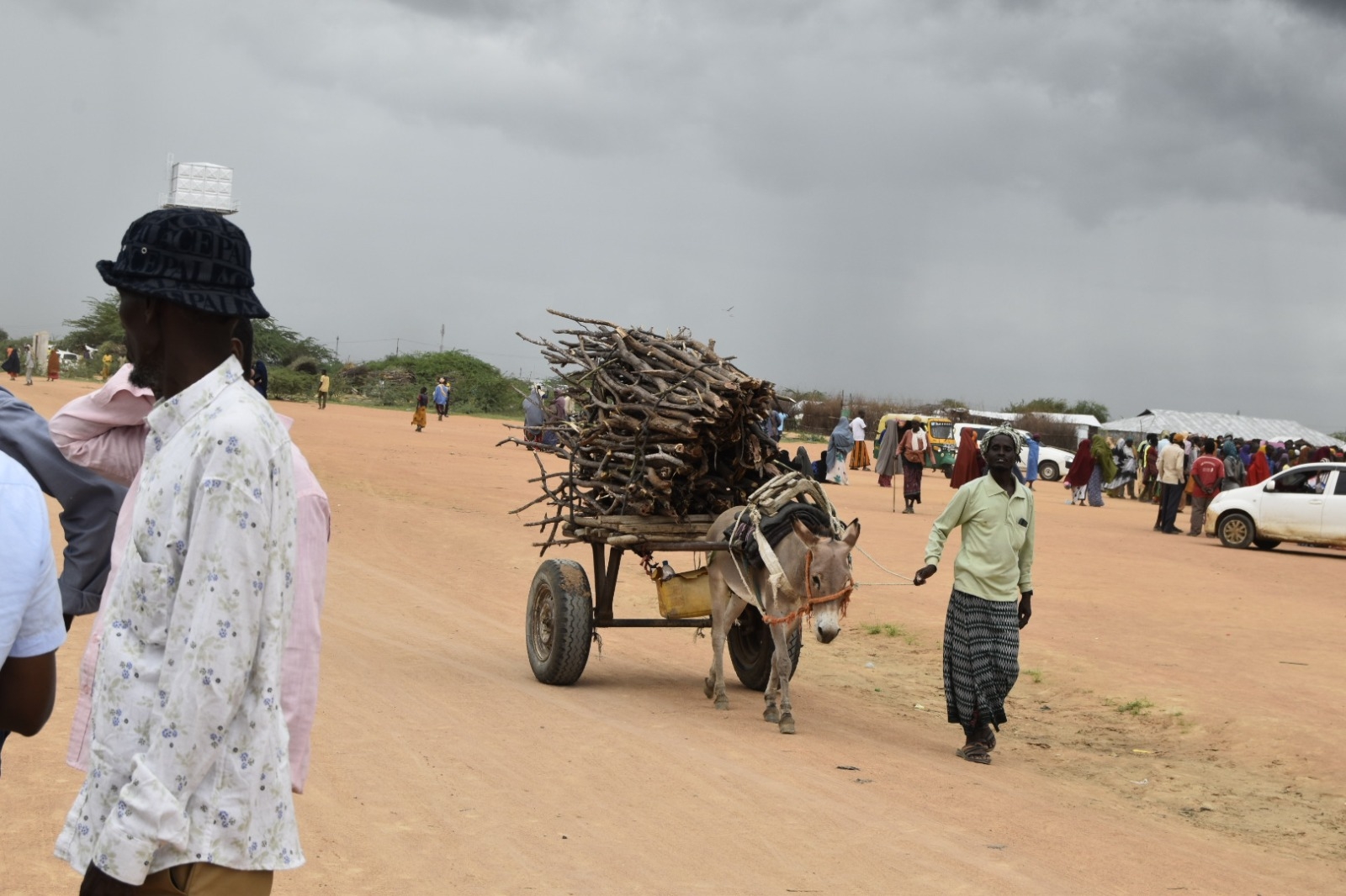 Garissa partners unite to save Dadaab’s fragile environment