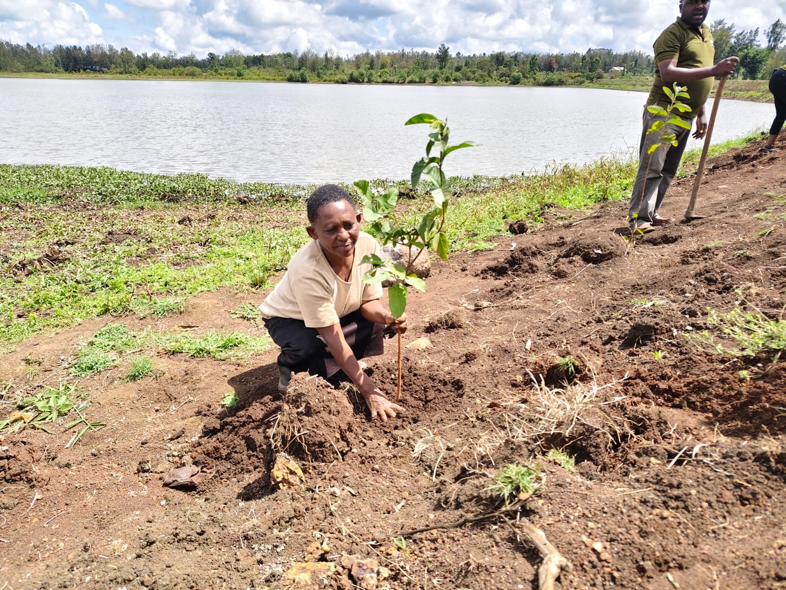 Maragua residents plant trees around crucial dams