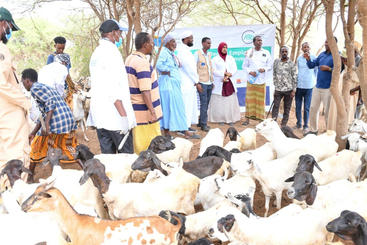 Garissa county launches second phase of mass livestock vaccination campaign