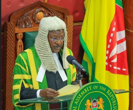 Why Parliament must remain the People’s Shield