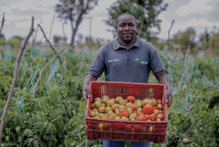 Experts urge wider adoption of regenerative farming to secure food future