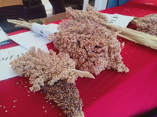 ENOCK WARINDA: Why sorghum and millet are central to Kenya’s food security agenda