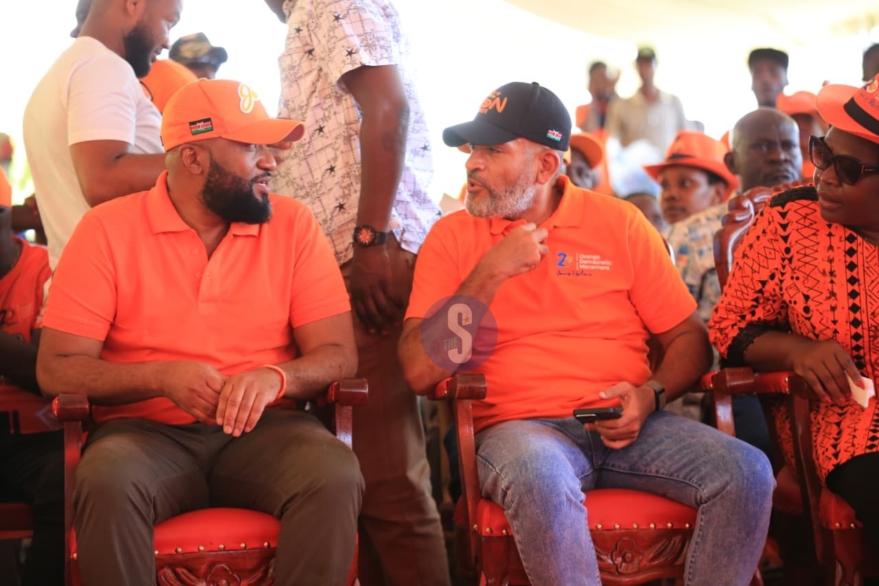 Joho: ODM unshaken by ‘self-appointed spokespersons’