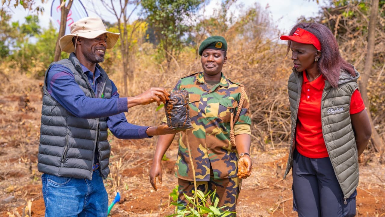 AAR Healthcare champions environmental sustainability with major reforestation drive