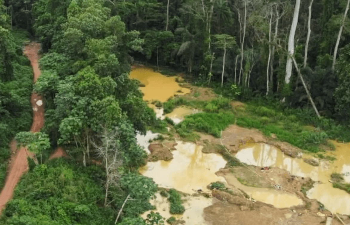 Ghana gold rush sparks environmental disaster