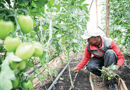 Farmers want voice in climate change issues