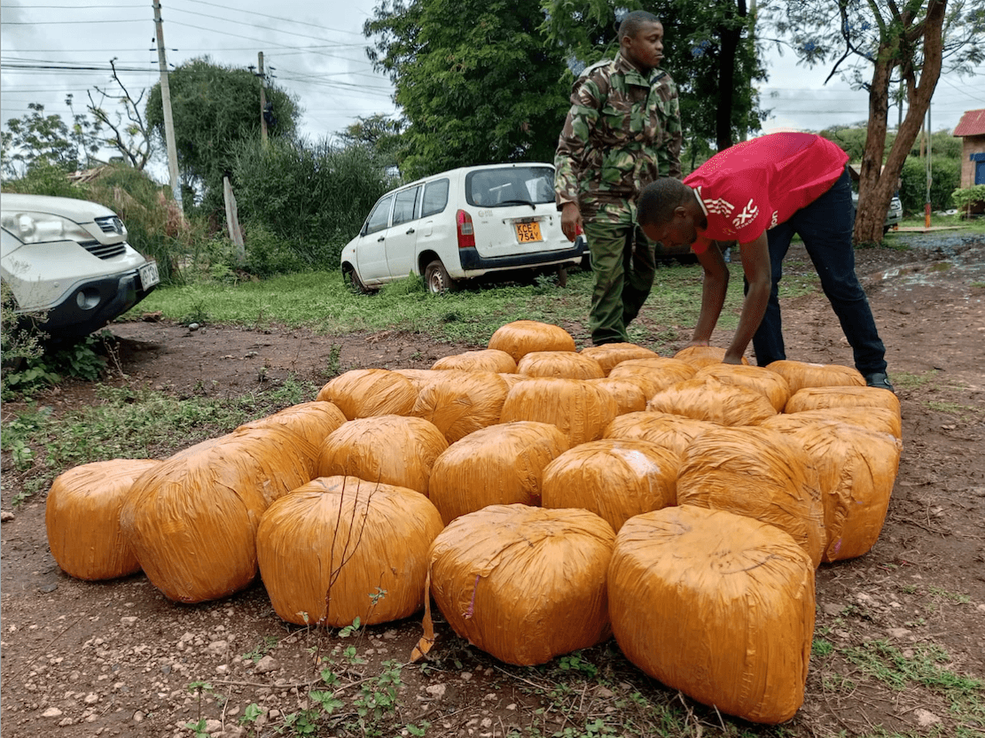 Bhang worth Sh6 million seized in Isiolo