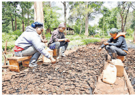 PS Omollo rallies all chiefs to lead in  tree-planting efforts