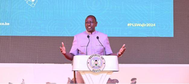 Address challenges hindering economic potential of your regions - Ruto to pastoralist leaders