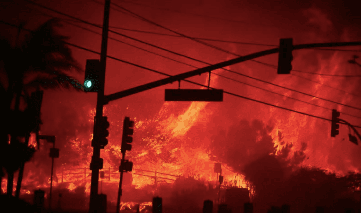 'Run for your lives!' LA residents flee wildfire on foot