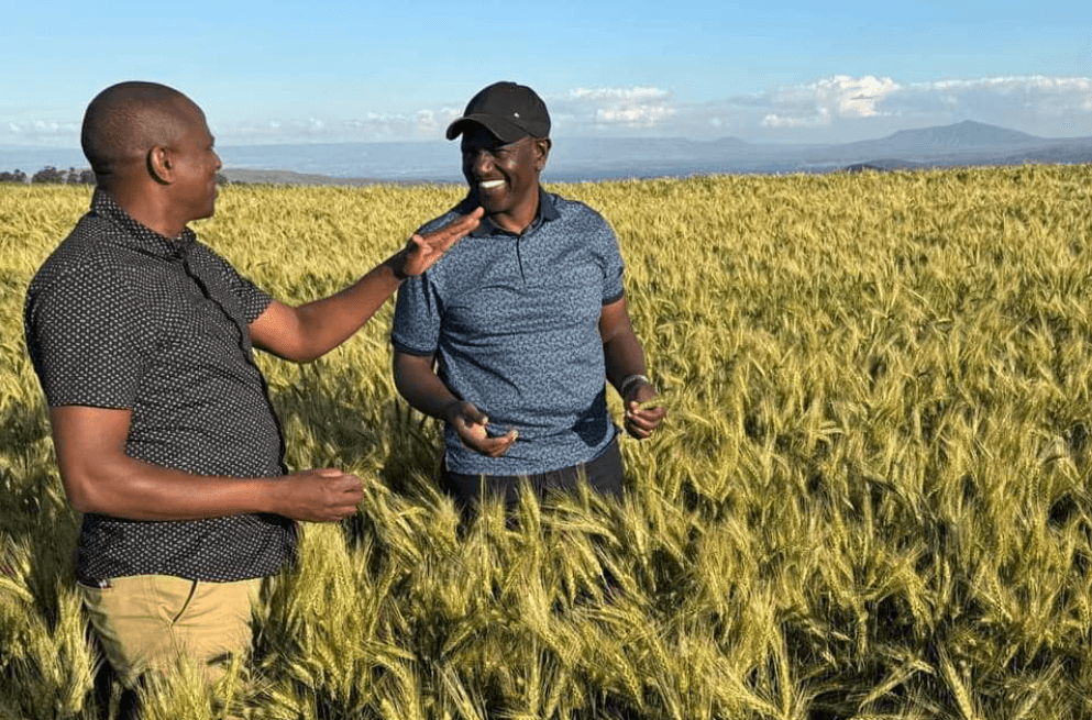 Ichung'wah to Ruto: Leave those making noise to me