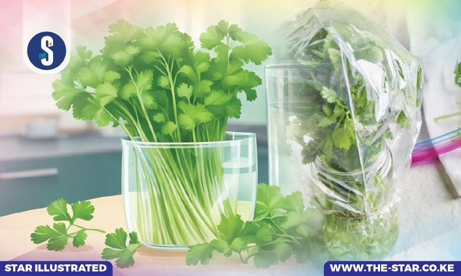 How to store fresh coriander