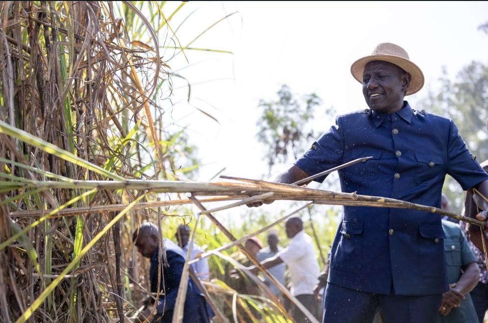 2027: Ruto rides on sugar deal for votes