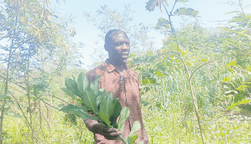 Rural farmers remain resilient despite climate change effects