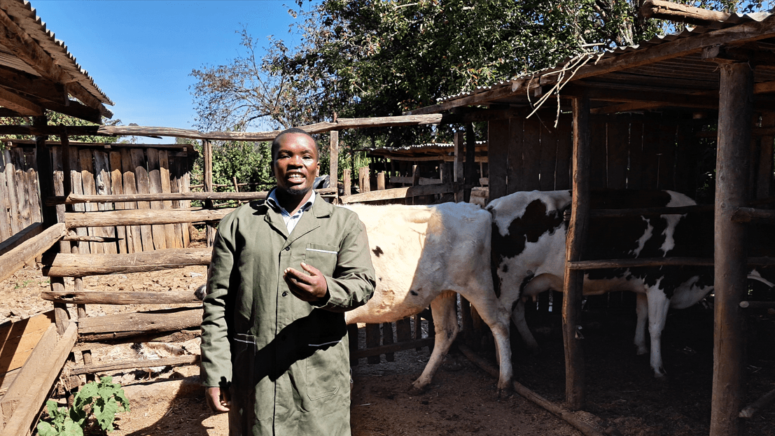 Mastering dairy farming: What to know before starting the journey