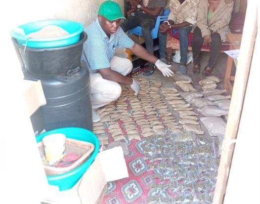 Nacada arrests two suspects linked to bhang trafficking in Kiambu