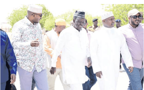 We’ll support your decision, Abdullahi tells Raila