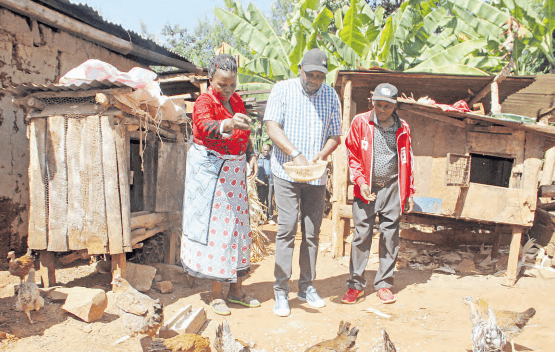 Jiggers to joy: Murang’a families recover their health and dignity