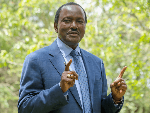 Kalonzo: I will lead demos if IEBC is not formed by March 2025