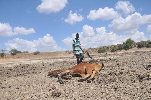 Met reveals two hidden forces behind Kenya’s failed short rains
