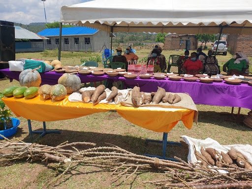 New move to create dietary shift in Kenya