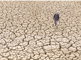 2.8 million Kenyans face starvation due to poor rains