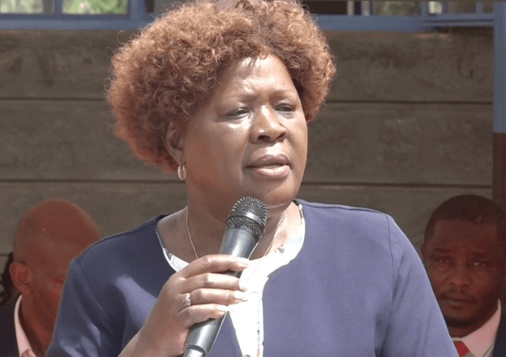 CS Wahome: Why some ODM members are confused