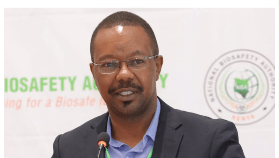 Kenyan researchers lead breakthroughs in livestock vaccine innovation using modern biotechnology