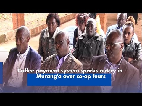 Coffee payment system sparks outcry in Murang'a over co-op fears