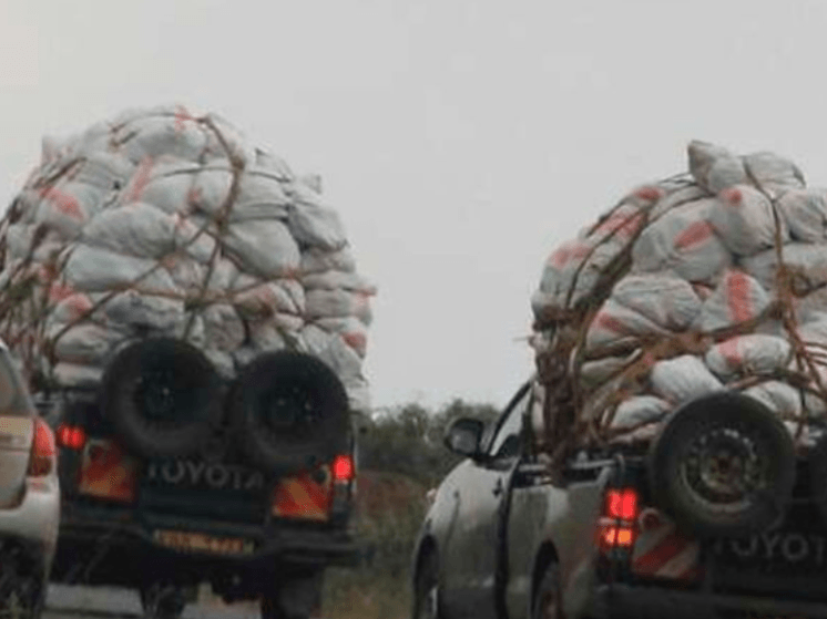 Police launch crackdown on miraa vehicles defying traffic rules