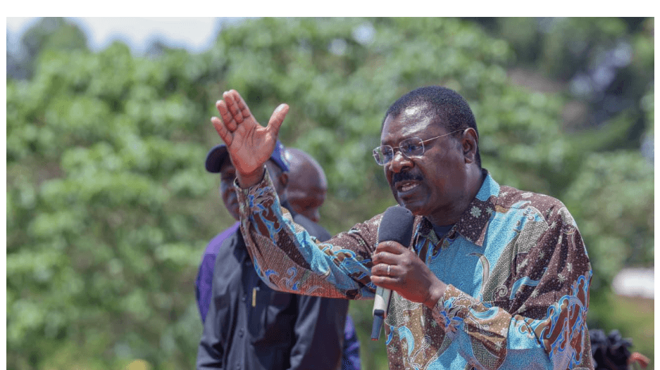 Ford Kenya throws weight behind UDA candidate in Malava by-election