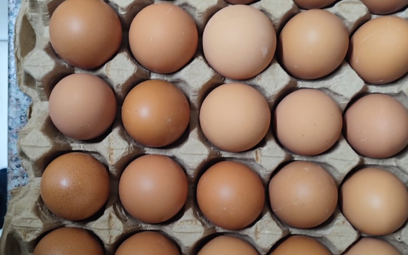 Rethinking eggs in Kenyan diets: What nutrition experts say