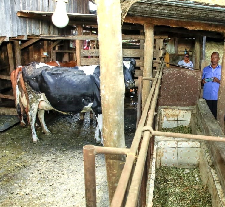 Animal feed crisis undermining food security as experts call for inclusion of GMOs